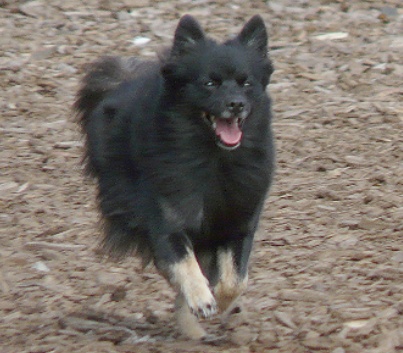 Cassy-Sommer-2008-2