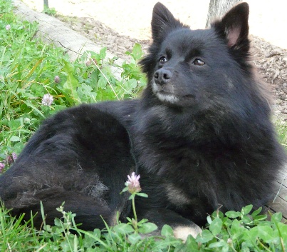 Cassy-Sommer-2008