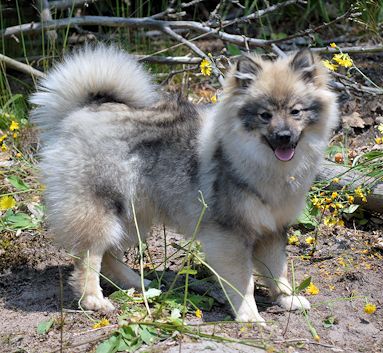 Mittelspitz-Gwendoly-Junii-2023-fuer-Rahmen