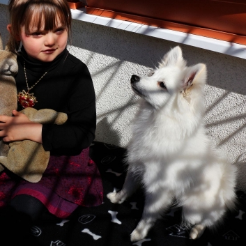 Mittelspitz Rocky von der Ro�steige im neuen Zuhause 07