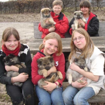 Mittelspitze von der Roßsteige mit Kinder 04 Mittelspitze von der Roßsteige mit Kinder 04